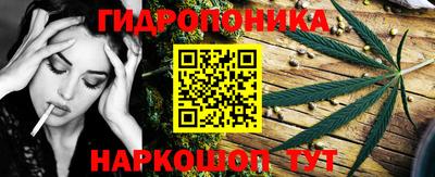 крисы Дубна